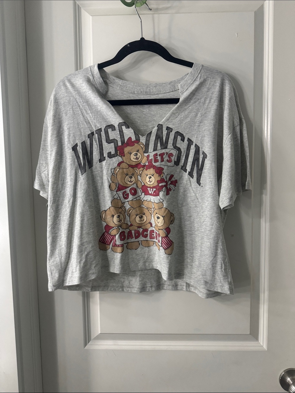 Wisconsin Crop Top